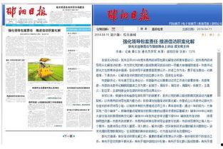 邵阳日报新闻爆料,揭秘某重大事件背后真相