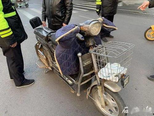 石家庄交管爆料最新消息,交通整治行动成效显著，多起违法行为被查处