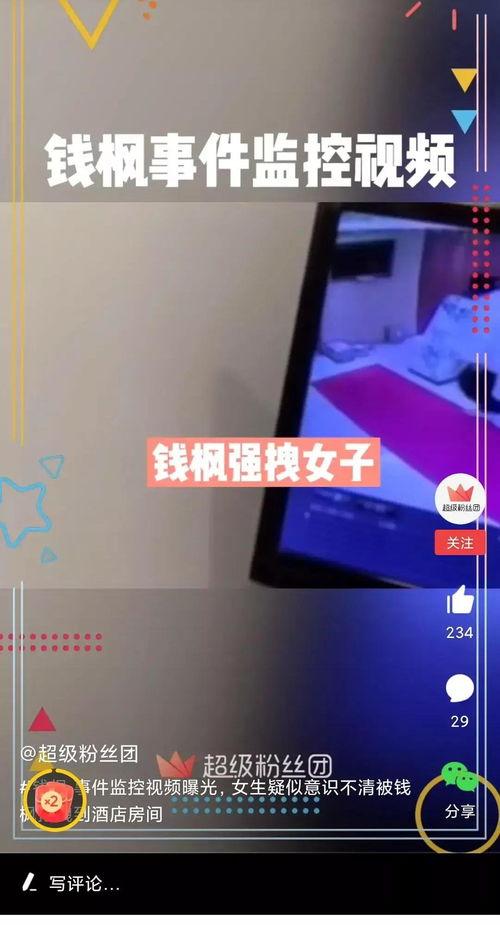 月光爆料最新消息视频播放,最新视频揭秘，精彩瞬间不容错过！