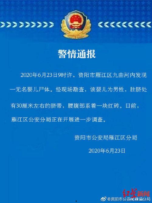 资阳爆料新闻,聚焦民生热点，揭示社会现象