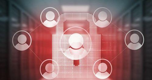 三农视频爆料怎么写,揭秘农村发展新动态