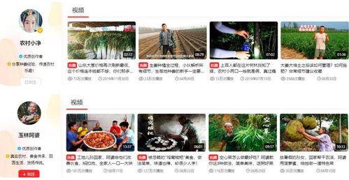 三农视频爆料怎么写,揭秘农村发展新动态