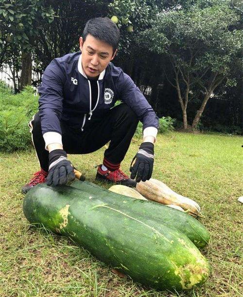 最新大瓜爆料8203,揭秘娱乐圈惊天秘密！