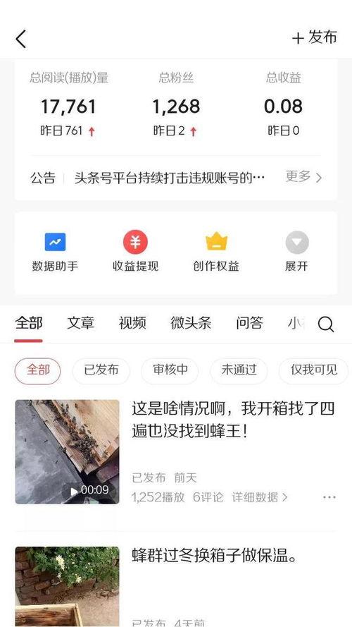 如何在今日头条上爆料才有收益,如何高效爆料赚收益