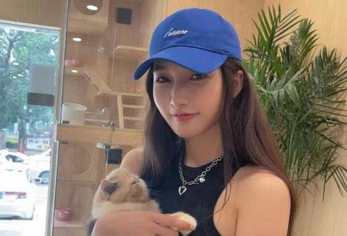 娱乐圈爆料的规矩有哪些,揭秘潜规则与禁忌