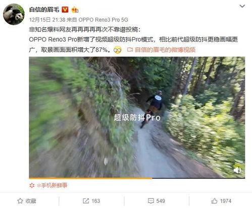 常绿干部爆料视频最新版,揭秘权力背后的真相