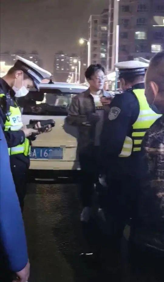 网友爆料汪汪酒驾视频,网友热议宠物安全驾驶问题