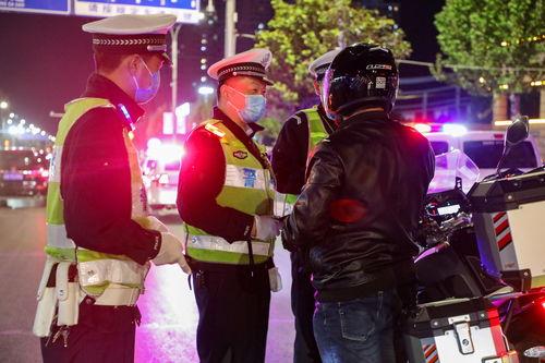 网友爆料汪汪酒驾视频,网友热议宠物安全驾驶问题