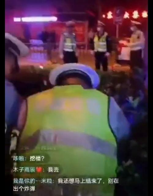 网友爆料汪汪酒驾视频,网友热议宠物安全驾驶问题