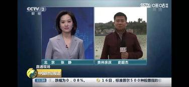 中央2直播在线观看,实时掌握权威资讯，一键观看精彩内容