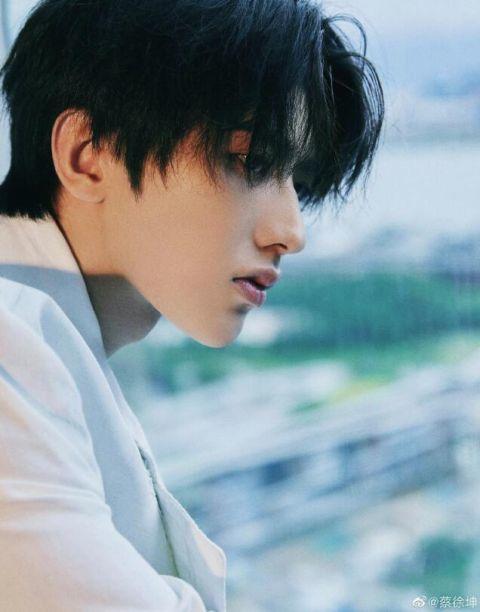 蔡徐坤爆料被质疑视频在线观看,真相背后，网络暴力何时休？