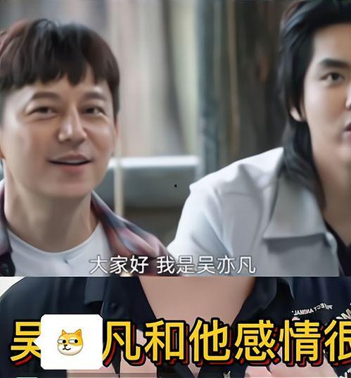 大勇最新爆料视频大全集,揭秘幕后真相，带你走进事件核心