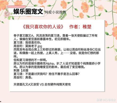 娱乐圈爆料连载小说,揭秘明星背后的秘密