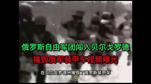 爆料视频俄罗斯,最新爆料视频曝光惊人内幕