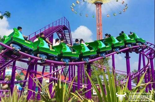 欢乐谷爆料事故最新消息