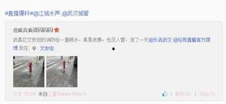 文安网友爆料新闻,揭秘当地事件背后真相