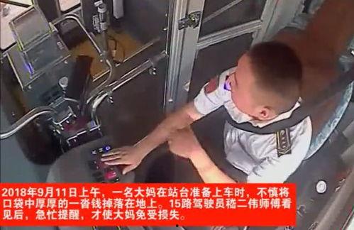 鹏哥爆料司机视频大全最新,最新司机视频大全，一窥行业真实面貌