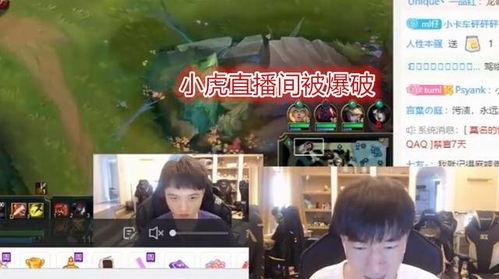 爆料小虎退役视频大全,回顾电竞传奇选手的辉煌瞬间