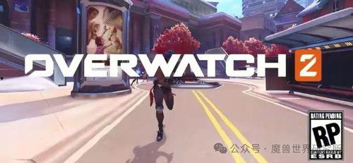 外网爆料暴雪视频大全,独家视频大全大揭秘