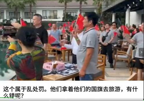 网友爆料越南事件视频完整版,揭秘真相与冲突背后的故事